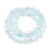 Electroplate Glass Beads Strands EGLA-P069-02A-AB03-2