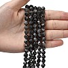 Natural Larvikite Beads Strands G-Z119-A32-02-2