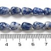 Natural Blue Spot Jasper Beads Strands G-B106-A15-01-5