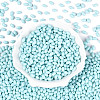 Baking Paint Glass Seed Beads SEED-T007-15L-1