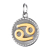 316 Surgical Stainless Steel Pendants STAS-S045-40-4