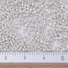 MIYUKI Delica Beads SEED-JP0008-DB0551-4