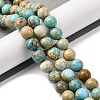 Dyed Natural Regalite/Imperial Jasper/Sea Sediment Jasper Beads Strands G-B124-C03-07-2