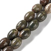 Natural Multi-Color Agate Beads Strands G-I369-B14-01-1