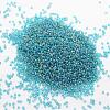 6/0 Round Glass Seed Beads SEED-J011-F6-179-2