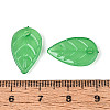 Transparent Acrylic Pendants OACR-T030-27A-3