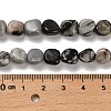 Natural Black Netstone Beads Strands G-P497-01E-73-5