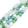 Electroplate Glass Beads Strands EGLA-N002-40A-01-1