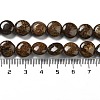 Natural Bronzite Beads Strands G-G084-D13-01-5