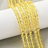 Natural Amber Beads Strands G-L095-B01-5mm-01-1