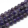 Natural Amethyst Beads Strands X-G-R446-6mm-20-1
