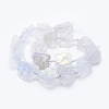 Electroplated Natural Quartz Crystal Beads Strands G-F555-01F-2