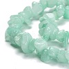 Dyed Natural Amazonite Beads Strands G-G011-08-2