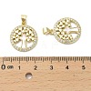 Brass Micro Pave Cubic Zirconia Pendants LS-KK-D384-06G-03-3