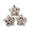 Natural Dalmatian Jasper Beads G-P469-12A-04-1