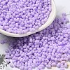 Glass Frosted Seed Beads SEED-K009-05B-04-1