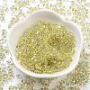 Luminous Glass Seed Beads X1-SEED-A033-07K-3