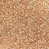 MIYUKI Round Rocailles Beads SEED-X0055-RR0234-2