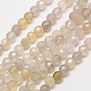 Natural Botswana Agate Beads Strands G-A129-2mm-18-1