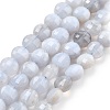 Natural Blue Lace Agate Beads Strands G-C179-A08-02-2