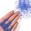 11/0 Grade A Round Transparent Glass Seed Beads X-SEED-Q007-F43-4