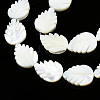 Natural Trochid Shell/Trochus Shell Beads Strands SSHEL-N034-136B-01-3