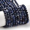 Natural Sodalite Beads Strands G-B107-A03-06-2