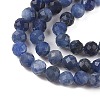 Natural Sodalite Beads Strands G-B088-C25-04-3