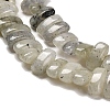 Natural Labradorite Beads Strands G-Q167-B19-01-4