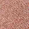 TOHO 11/0 Round Beads SEED-TR11-0631-2