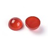 Natural Carnelian Cabochons G-F608-04C-05-2