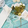 Polyester Organza Ribbons SRIB-WH20020-004B-4