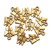 Tibetan Style Alloy Charms Pendants X-TIBEP-A176-G-FF-4