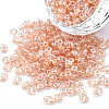 Transparent Czech Glass Seed Beads SEED-N004-005-C06-1