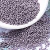 MIYUKI Round Rocailles Beads X-SEED-G007-RR1062-1