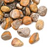 Natural Bumblebee Jasper Beads GG-CBAD0F6-B15-01-1