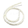 Natural Trochid Shell/Trochus Shell Beads Strands BSHE-G038-03-3