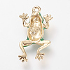 Enamel Style Alloy Pendants ENAM-S108-224A-2