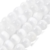 Natural Selenite Beads Strands G-B103-A01-06-1