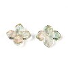 Baking Paint Transparent Glass Bead Caps DGLA-N014-04D-2