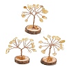 Natural Yellow Quartz Chips Tree of Life Decorations GG-CBAEDF6-01L-1