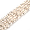 Natural Cultured Freshwater Pearl Beads Strands PEAR-L033-14-02-1