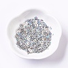 Ornament Accessories Plastic Paillette/Sequins Beads PVC-G001-02A-4