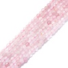 Natural Pink Tourmaline Beads Strands G-P457-A01-14H-1