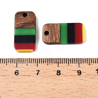 Jamaican Colour Epoxy Resin & Walnut Wood Pendants RESI-N039-122C-1