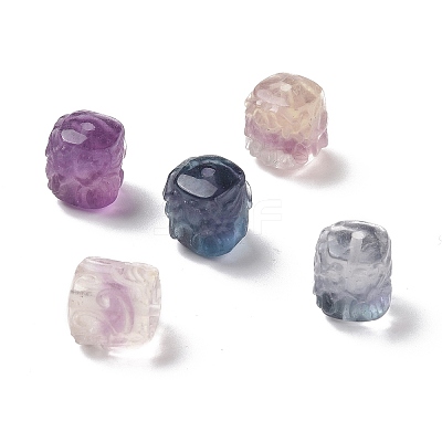 Natural Fluorite Beads G-P483-07-1