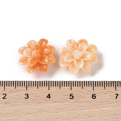 Synthetic Shell Dyed Beads SHEL-C006-01-1
