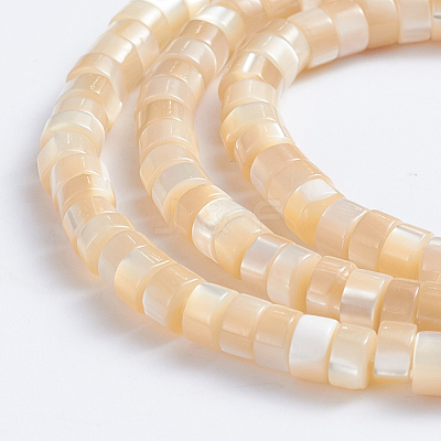 Natural Trochid Shell/Trochus Shell Beads Strands SSHEL-L016-13B-1