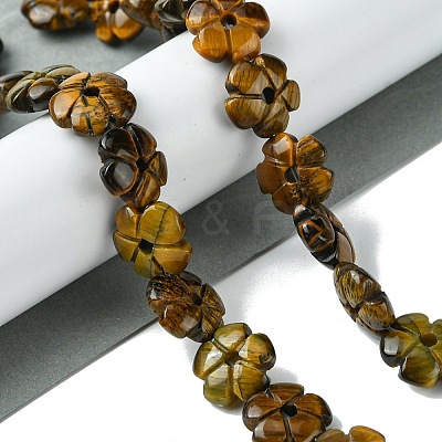 Natural Tiger Eye Beads Strands G-H023-B12-01-1
