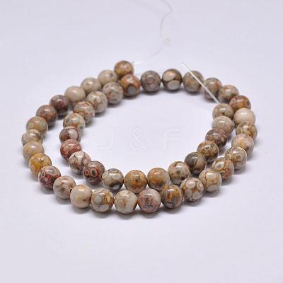 Natural Maifanite/Maifan Stone Beads Strands X-G-F353-10mm-1